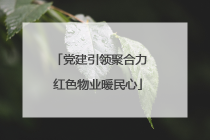 党建引领聚合力 红色物业暖民心